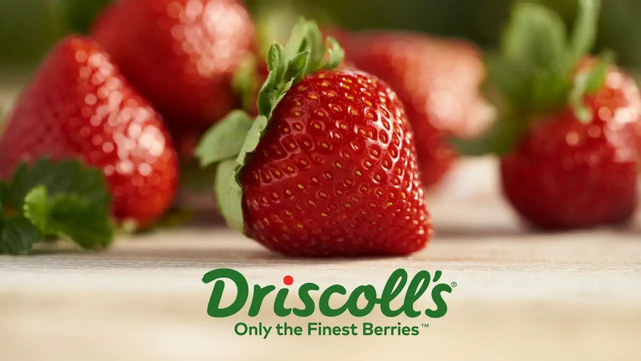 Driscolls Strawberries